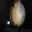 Natural Brazilian Agate Slice on metal base, 11" tall Model #5057-0136 by Brazil Gems - Brazil GemsBrazil GemsNatural Brazilian Agate Slice on metal base, 11" tall Model #5057-0136 by Brazil GemsSlices on Fixed Bases5057-0136