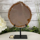 Natural Brazilian Agate Slice on metal base, 11" tall Model #5057-0136 by Brazil Gems - Brazil GemsBrazil GemsNatural Brazilian Agate Slice on metal base, 11" tall Model #5057-0136 by Brazil GemsSlices on Fixed Bases5057-0136
