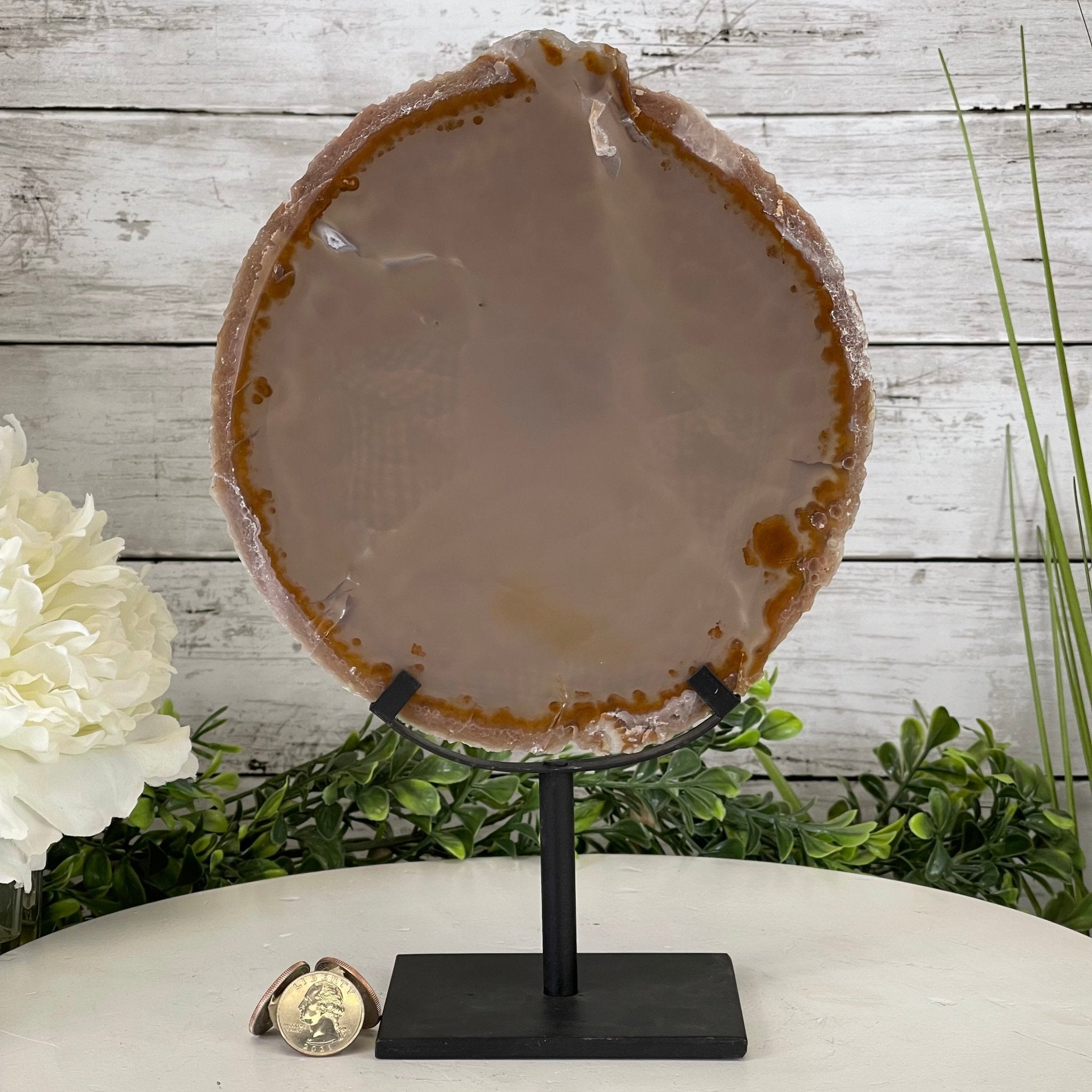 Natural Brazilian Agate Slice on metal base, 11" tall Model #5057-0136 by Brazil Gems - Brazil GemsBrazil GemsNatural Brazilian Agate Slice on metal base, 11" tall Model #5057-0136 by Brazil GemsSlices on Fixed Bases5057-0136