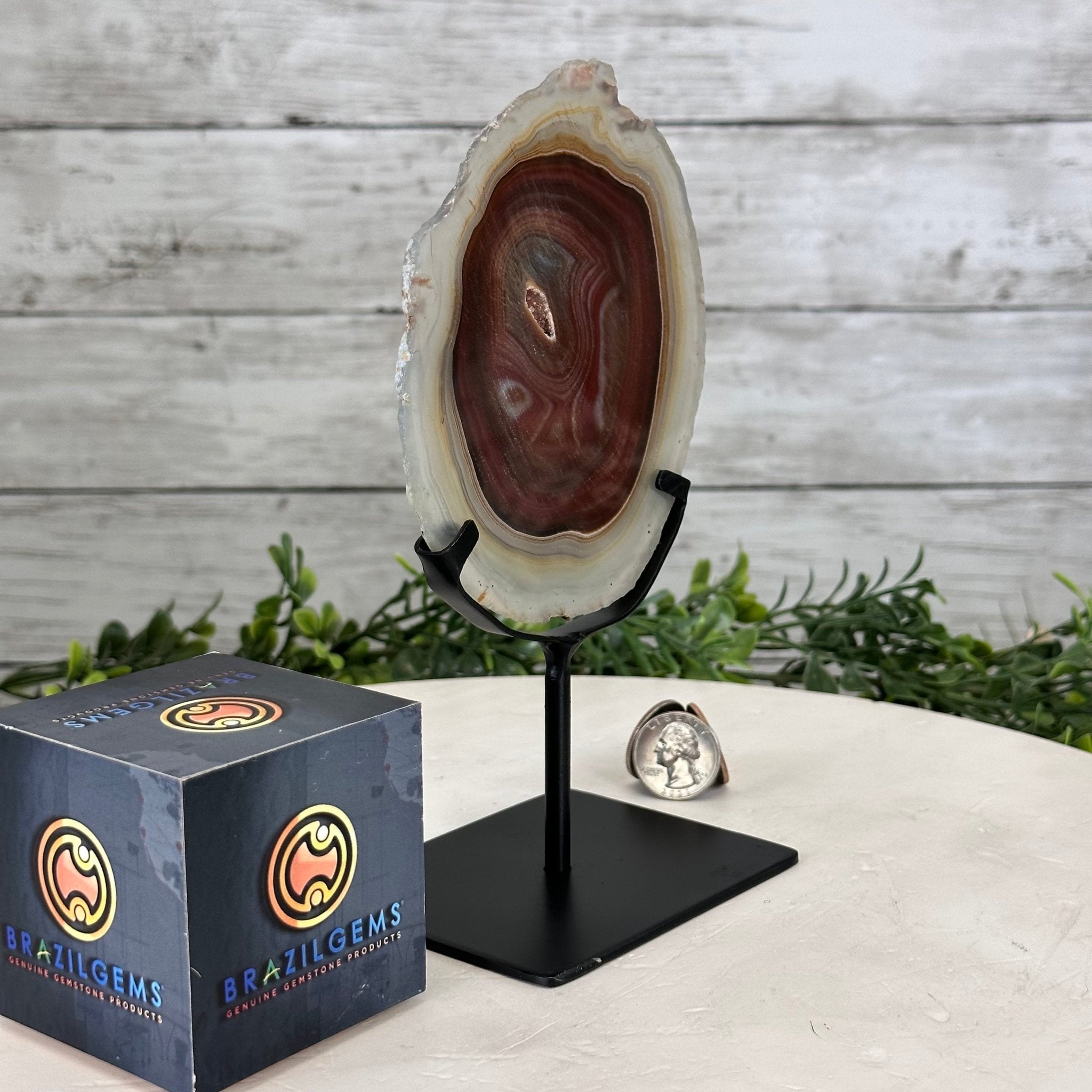 Natural Brazilian Agate Slice on metal base, 7.8" tall Model #5067NA-057 by Brazil Gems - Brazil GemsBrazil GemsNatural Brazilian Agate Slice on metal base, 7.8" tall Model #5067NA-057 by Brazil GemsSlices on Fixed Bases5067NA-057