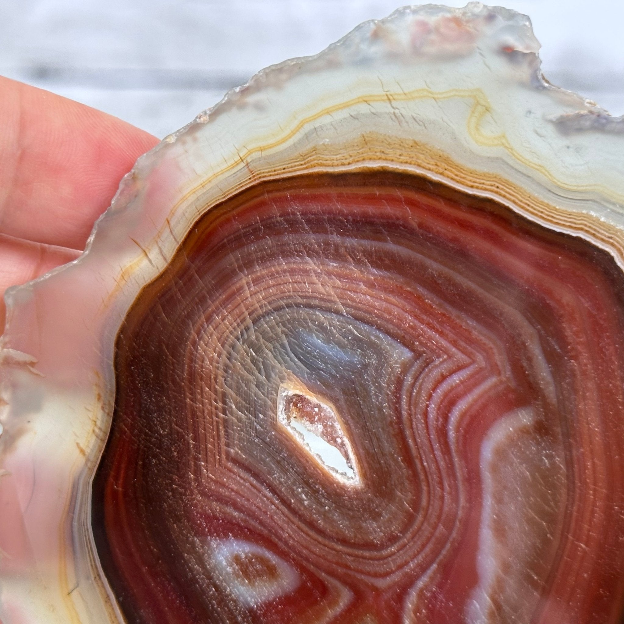 Natural Brazilian Agate Slice on metal base, 7.8" tall Model #5067NA-057 by Brazil Gems - Brazil GemsBrazil GemsNatural Brazilian Agate Slice on metal base, 7.8" tall Model #5067NA-057 by Brazil GemsSlices on Fixed Bases5067NA-057