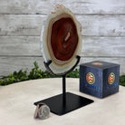Natural Brazilian Agate Slice on metal base, 7.8" tall Model #5067NA-057 by Brazil Gems - Brazil GemsBrazil GemsNatural Brazilian Agate Slice on metal base, 7.8" tall Model #5067NA-057 by Brazil GemsSlices on Fixed Bases5067NA-057
