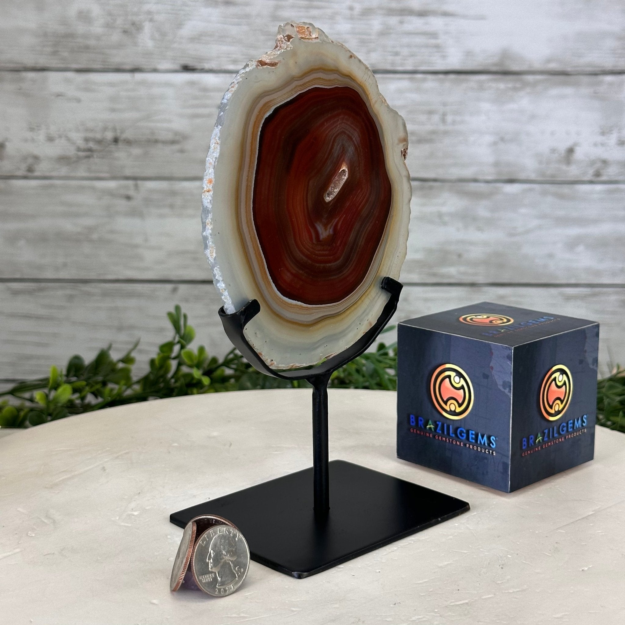 Natural Brazilian Agate Slice on metal base, 7.8" tall Model #5067NA-057 by Brazil Gems - Brazil GemsBrazil GemsNatural Brazilian Agate Slice on metal base, 7.8" tall Model #5067NA-057 by Brazil GemsSlices on Fixed Bases5067NA-057