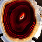 Natural Brazilian Agate Slice on metal base, 7.8" tall Model #5067NA-057 by Brazil Gems - Brazil GemsBrazil GemsNatural Brazilian Agate Slice on metal base, 7.8" tall Model #5067NA-057 by Brazil GemsSlices on Fixed Bases5067NA-057
