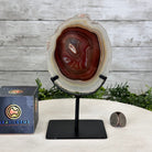 Natural Brazilian Agate Slice on metal base, 7.8" tall Model #5067NA-057 by Brazil Gems - Brazil GemsBrazil GemsNatural Brazilian Agate Slice on metal base, 7.8" tall Model #5067NA-057 by Brazil GemsSlices on Fixed Bases5067NA-057
