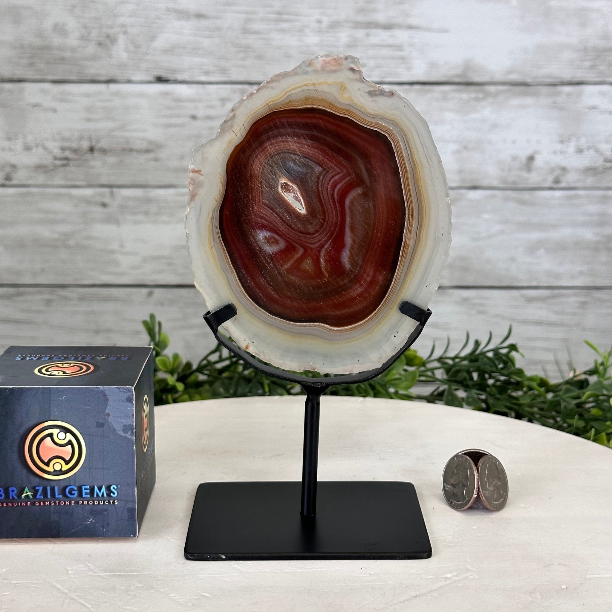 Natural Brazilian Agate Slice on metal base, 7.8" tall Model #5067NA-057 by Brazil Gems - Brazil GemsBrazil GemsNatural Brazilian Agate Slice on metal base, 7.8" tall Model #5067NA-057 by Brazil GemsSlices on Fixed Bases5067NA-057