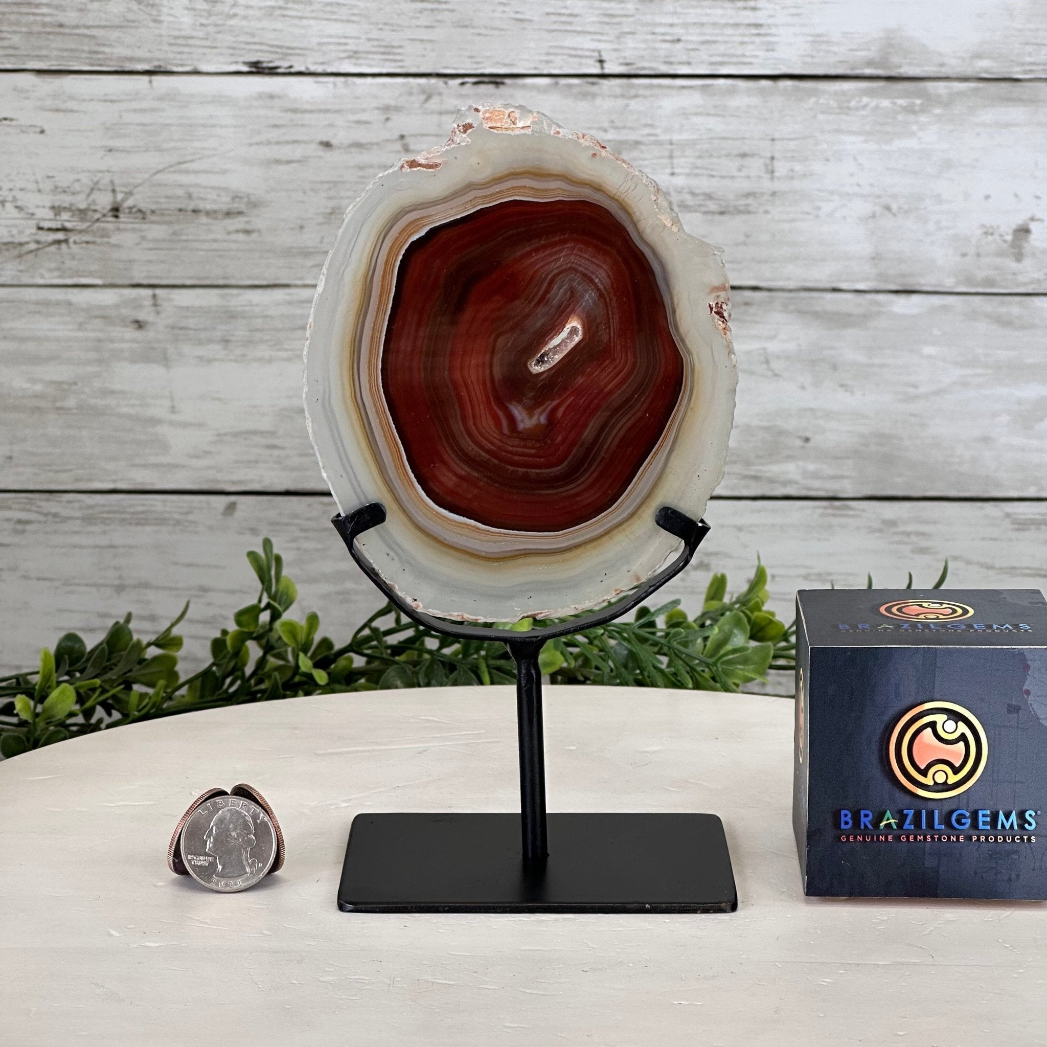 Natural Brazilian Agate Slice on metal base, 7.8" tall Model #5067NA-057 by Brazil Gems - Brazil GemsBrazil GemsNatural Brazilian Agate Slice on metal base, 7.8" tall Model #5067NA-057 by Brazil GemsSlices on Fixed Bases5067NA-057