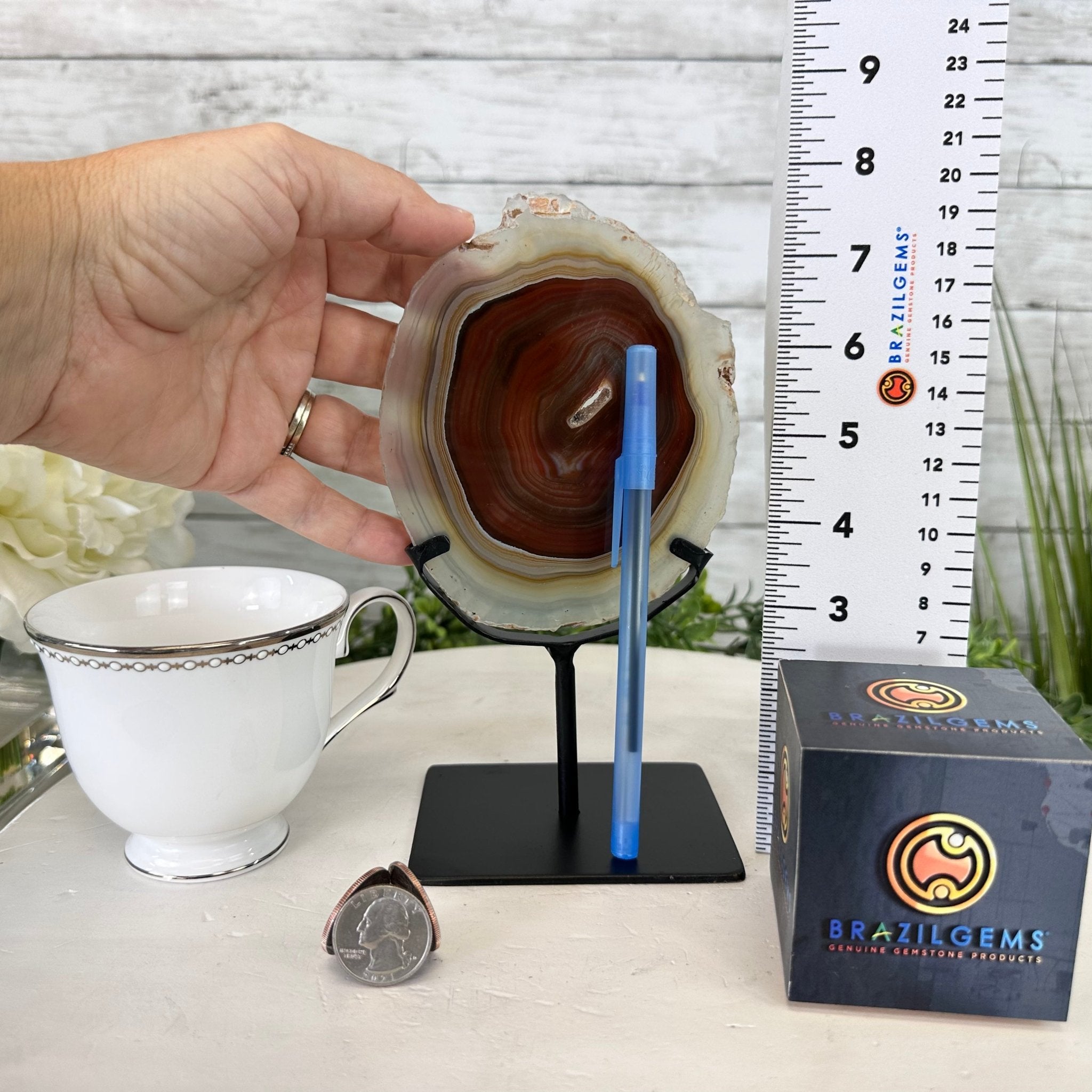 Natural Brazilian Agate Slice on metal base, 7.8" tall Model #5067NA-057 by Brazil Gems - Brazil GemsBrazil GemsNatural Brazilian Agate Slice on metal base, 7.8" tall Model #5067NA-057 by Brazil GemsSlices on Fixed Bases5067NA-057
