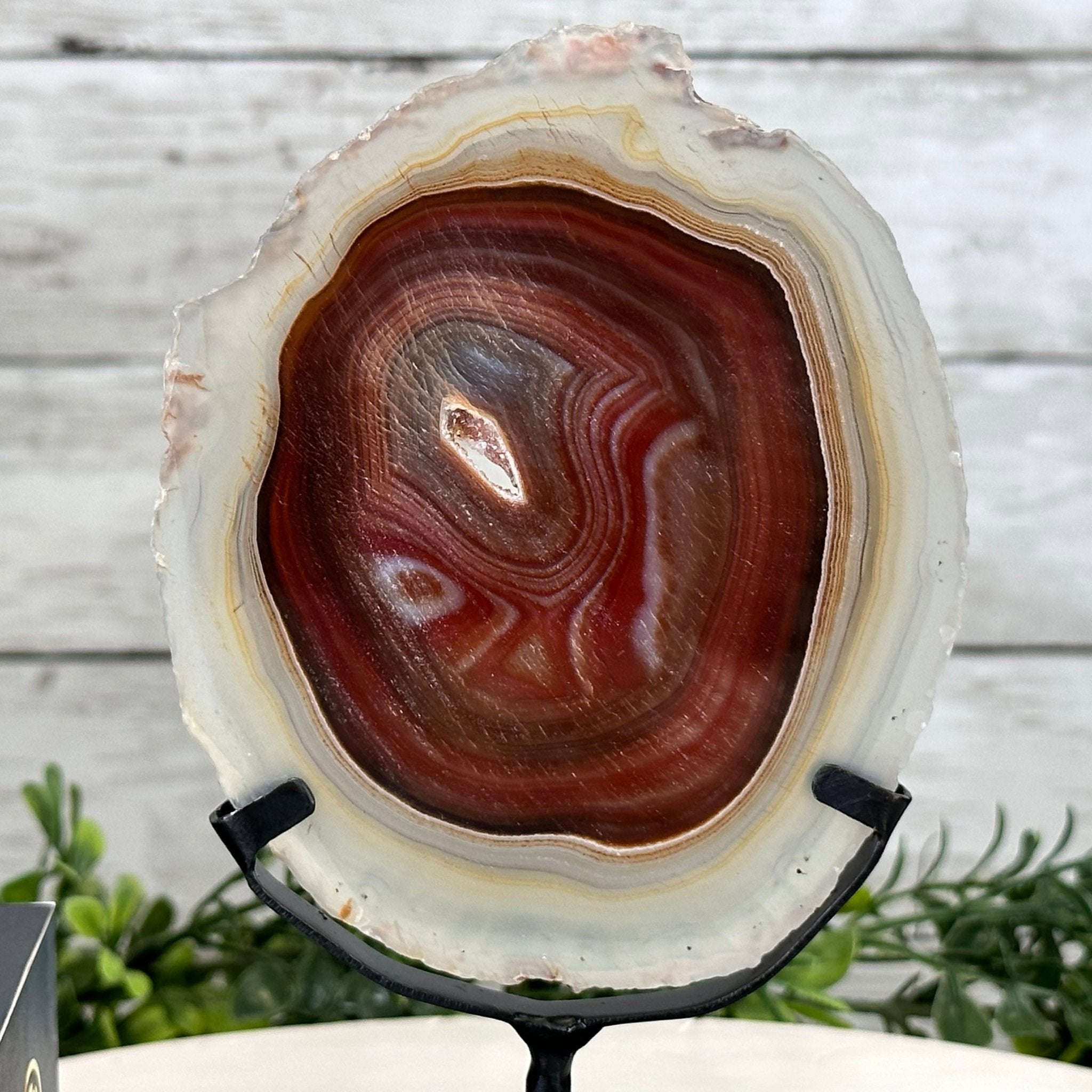Natural Brazilian Agate Slice on metal base, 7.8" tall Model #5067NA-057 by Brazil Gems - Brazil GemsBrazil GemsNatural Brazilian Agate Slice on metal base, 7.8" tall Model #5067NA-057 by Brazil GemsSlices on Fixed Bases5067NA-057