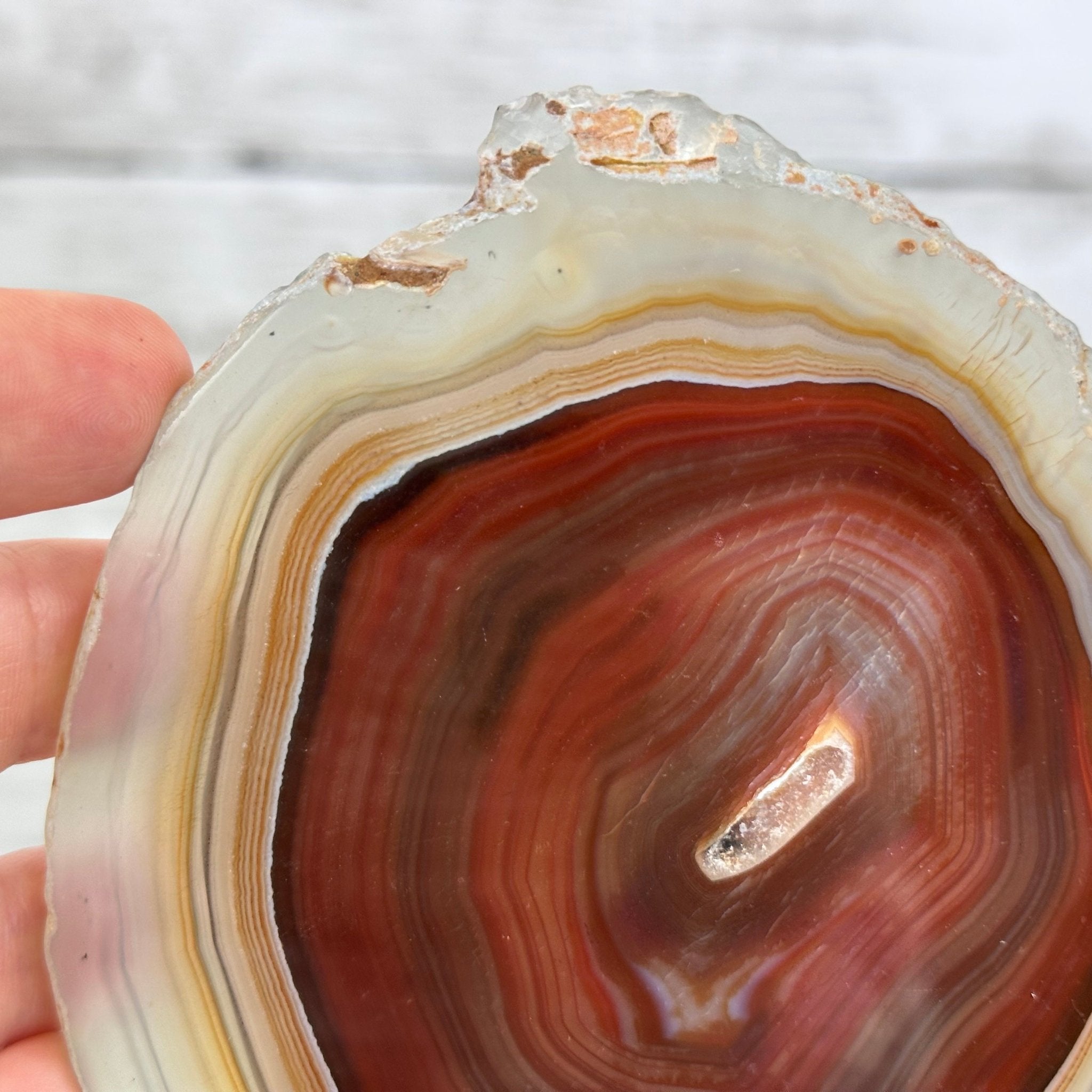 Natural Brazilian Agate Slice on metal base, 7.8" tall Model #5067NA-057 by Brazil Gems - Brazil GemsBrazil GemsNatural Brazilian Agate Slice on metal base, 7.8" tall Model #5067NA-057 by Brazil GemsSlices on Fixed Bases5067NA-057