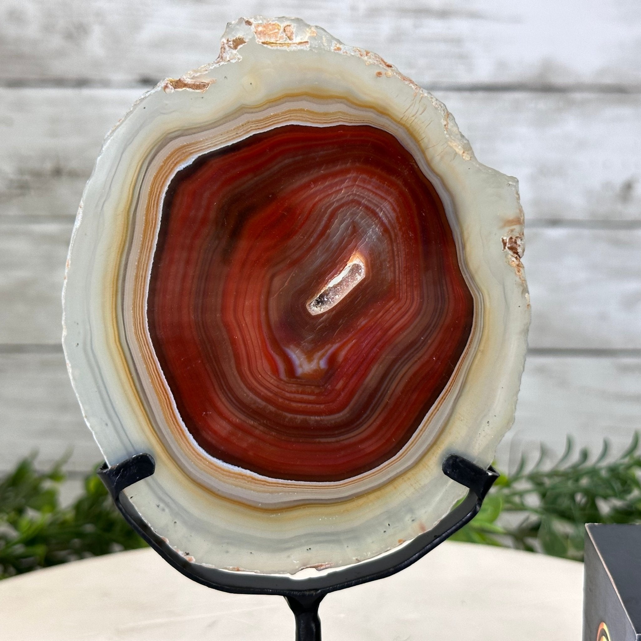 Natural Brazilian Agate Slice on metal base, 7.8" tall Model #5067NA-057 by Brazil Gems - Brazil GemsBrazil GemsNatural Brazilian Agate Slice on metal base, 7.8" tall Model #5067NA-057 by Brazil GemsSlices on Fixed Bases5067NA-057