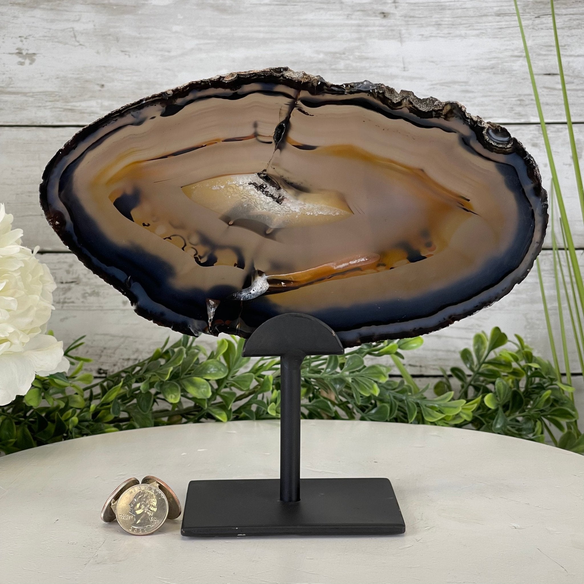 Natural Brazilian Agate Slice on metal base, 8.25" tall Model #5057-0126 by Brazil Gems - Brazil GemsBrazil GemsNatural Brazilian Agate Slice on metal base, 8.25" tall Model #5057-0126 by Brazil GemsSlices on Fixed Bases5057-0126