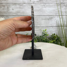 Natural Brazilian Agate Slice on metal base, 8.25" tall Model #5057-0126 by Brazil Gems - Brazil GemsBrazil GemsNatural Brazilian Agate Slice on metal base, 8.25" tall Model #5057-0126 by Brazil GemsSlices on Fixed Bases5057-0126