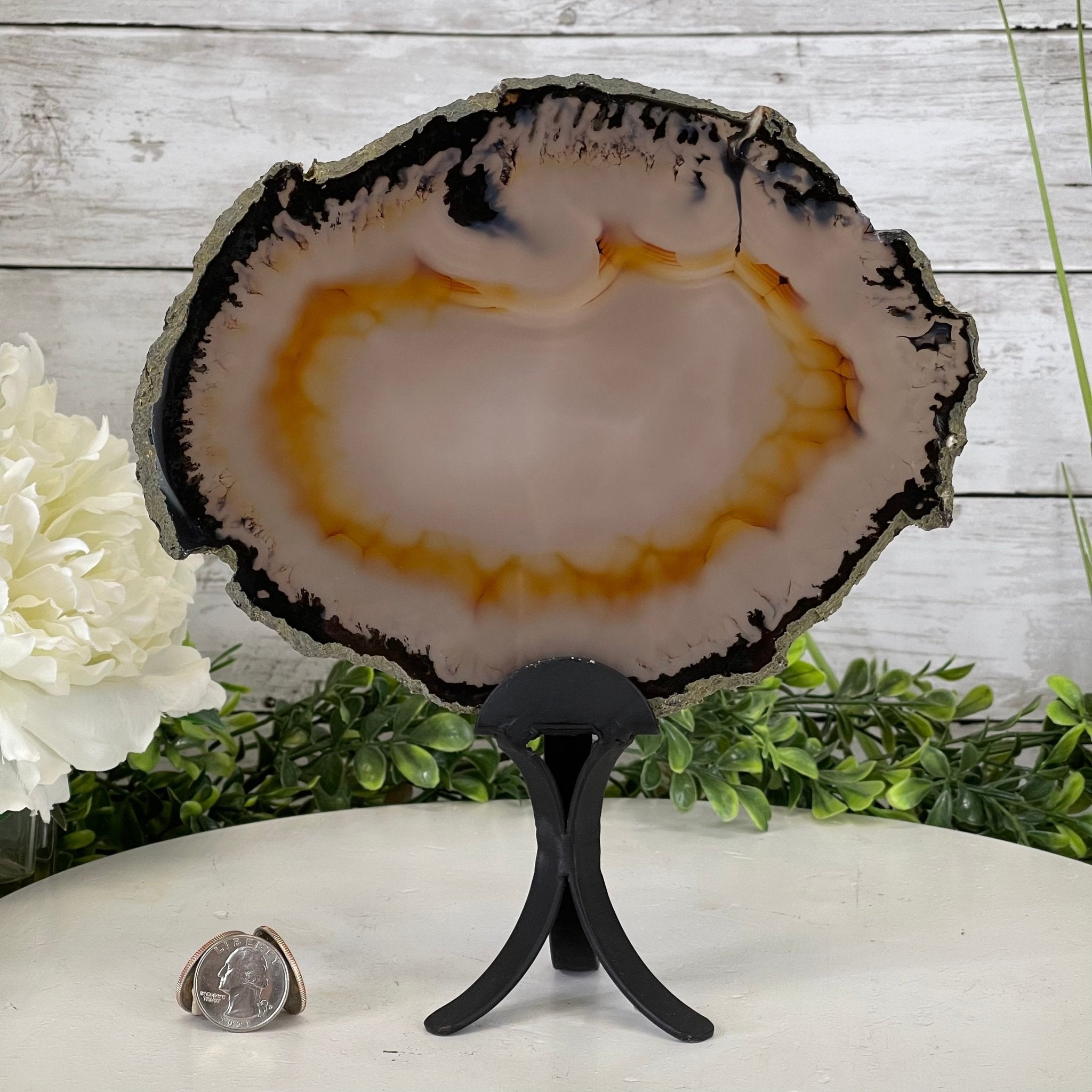 Natural Brazilian Agate Slice on metal base, 9.5" tall Model #5057-0103 by Brazil Gems - Brazil GemsBrazil GemsNatural Brazilian Agate Slice on metal base, 9.5" tall Model #5057-0103 by Brazil GemsSlices on Fixed Bases5057-0103
