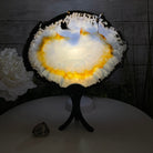 Natural Brazilian Agate Slice on metal base, 9.5" tall Model #5057-0103 by Brazil Gems - Brazil GemsBrazil GemsNatural Brazilian Agate Slice on metal base, 9.5" tall Model #5057-0103 by Brazil GemsSlices on Fixed Bases5057-0103