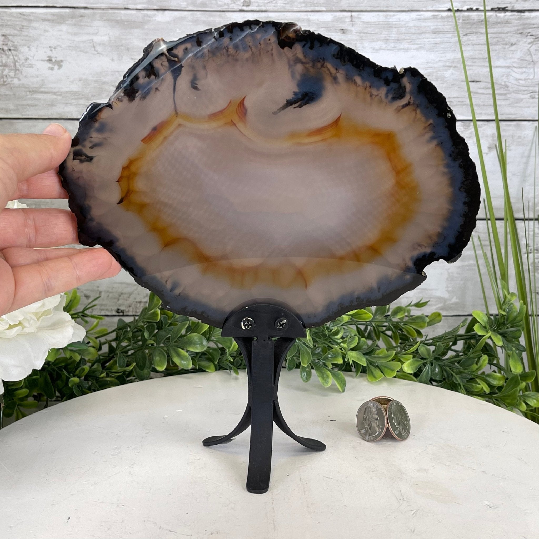 Natural Brazilian Agate Slice on metal base, 9.5" tall Model #5057-0103 by Brazil Gems - Brazil GemsBrazil GemsNatural Brazilian Agate Slice on metal base, 9.5" tall Model #5057-0103 by Brazil GemsSlices on Fixed Bases5057-0103