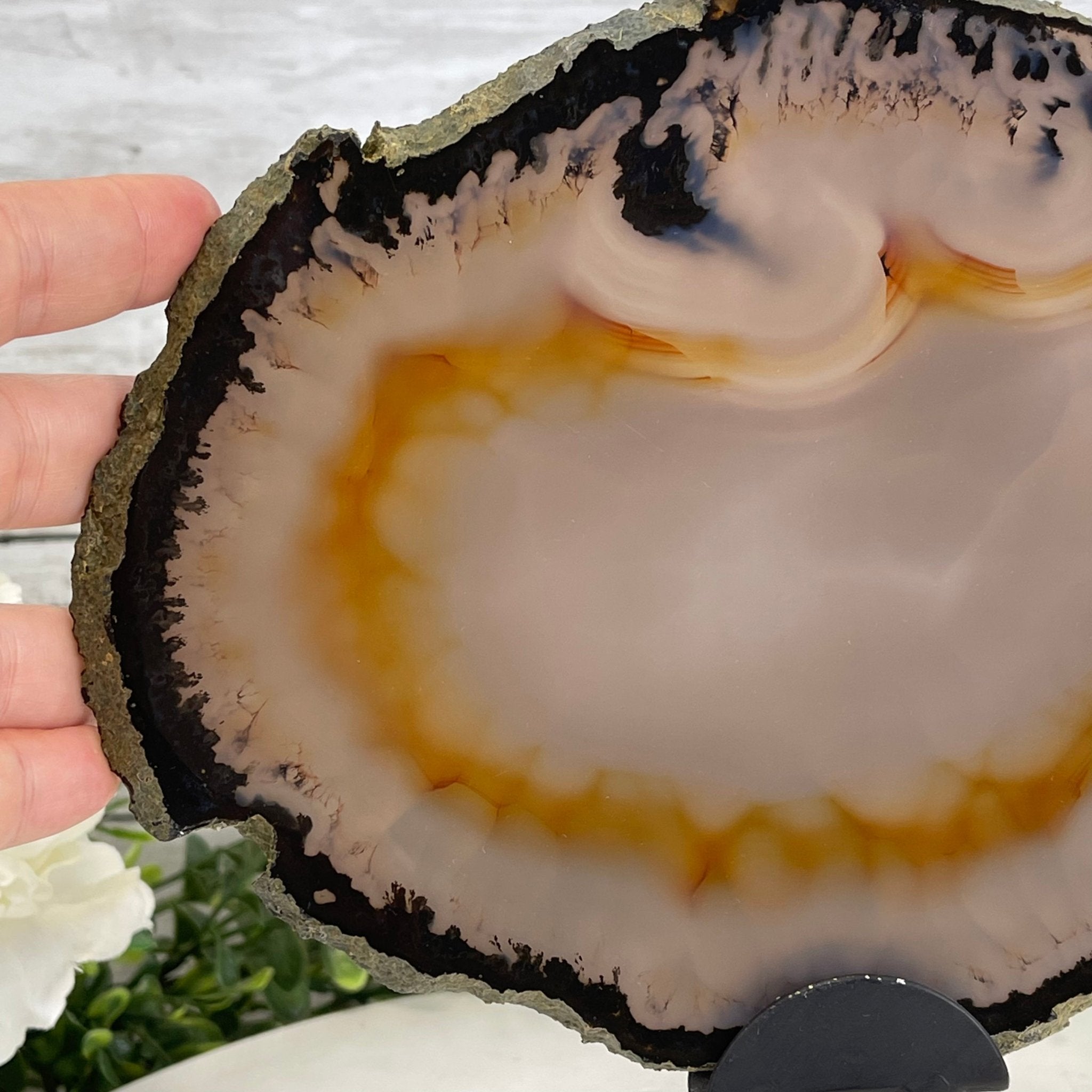 Natural Brazilian Agate Slice on metal base, 9.5" tall Model #5057-0103 by Brazil Gems - Brazil GemsBrazil GemsNatural Brazilian Agate Slice on metal base, 9.5" tall Model #5057-0103 by Brazil GemsSlices on Fixed Bases5057-0103