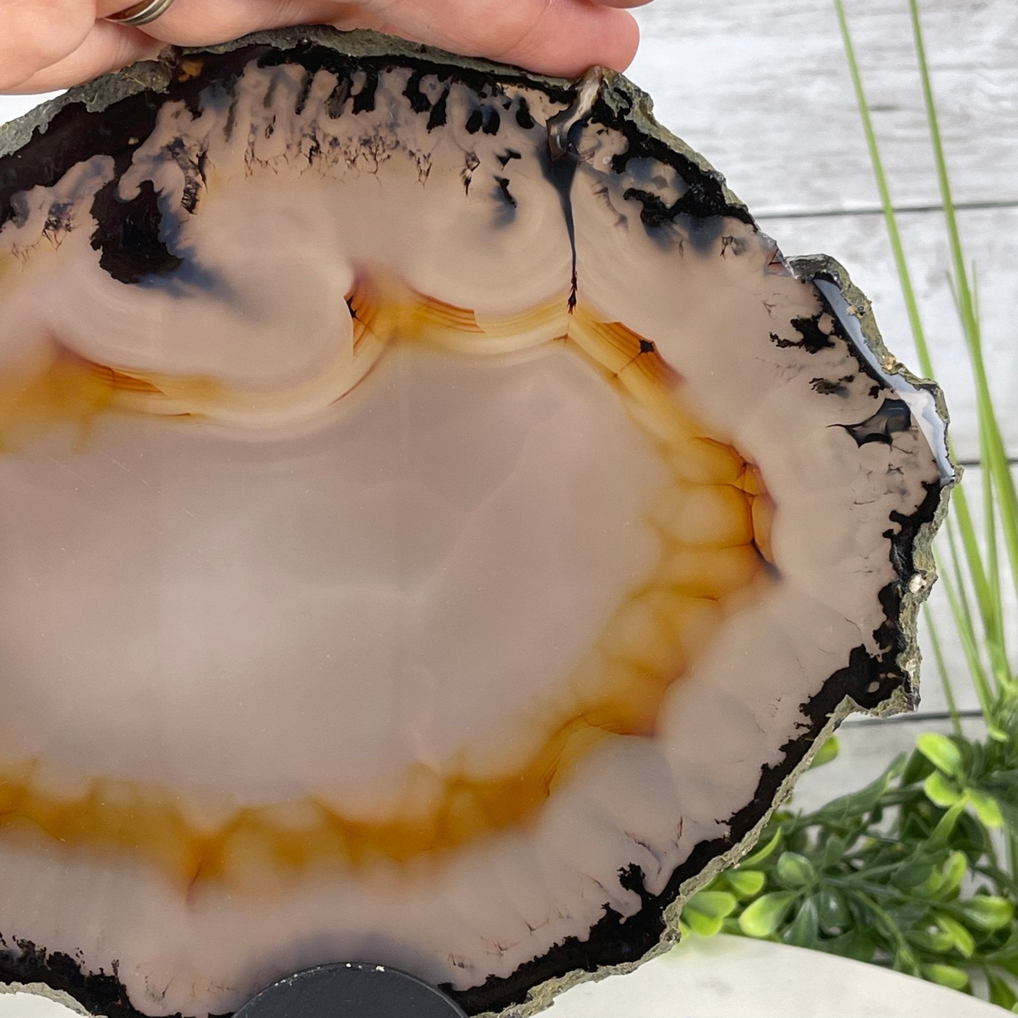 Natural Brazilian Agate Slice on metal base, 9.5" tall Model #5057-0103 by Brazil Gems - Brazil GemsBrazil GemsNatural Brazilian Agate Slice on metal base, 9.5" tall Model #5057-0103 by Brazil GemsSlices on Fixed Bases5057-0103