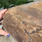 Natural Brown Jasper Side Table on a Black Metal Base, 24.6" Tall #1342BR-002 - Brazil GemsBrazil GemsNatural Brown Jasper Side Table on a Black Metal Base, 24.6" Tall #1342BR-002Tables: Side1342BR-002