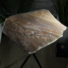 Natural Brown Jasper Side Table on a Black Metal Base, 24.6" Tall #1342BR-002 - Brazil GemsBrazil GemsNatural Brown Jasper Side Table on a Black Metal Base, 24.6" Tall #1342BR-002Tables: Side1342BR-002