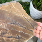 Natural Brown Jasper Side Table on a Black Metal Base, 24.6" Tall #1342BR-002 - Brazil GemsBrazil GemsNatural Brown Jasper Side Table on a Black Metal Base, 24.6" Tall #1342BR-002Tables: Side1342BR-002