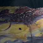 Natural Mookaite Jasper Side Table on Gold Metal Base, 24.8" Tall #1340MJ-002 - Brazil GemsBrazil GemsNatural Mookaite Jasper Side Table on Gold Metal Base, 24.8" Tall #1340MJ-002Tables: Side1340MJ-002