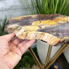 Natural Mookaite Jasper Side Table on Gold Metal Base, 24.8" Tall #1340MJ-002 - Brazil GemsBrazil GemsNatural Mookaite Jasper Side Table on Gold Metal Base, 24.8" Tall #1340MJ-002Tables: Side1340MJ-002