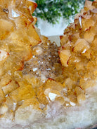 Open 2-Sided Brazilian Citrine Cathedral, 306.5 lbs and 67.8" tall #5608-0029 - Brazil GemsBrazil GemsOpen 2-Sided Brazilian Citrine Cathedral, 306.5 lbs and 67.8" tall #5608-0029Open 2-Sided Cathedrals5608-0029