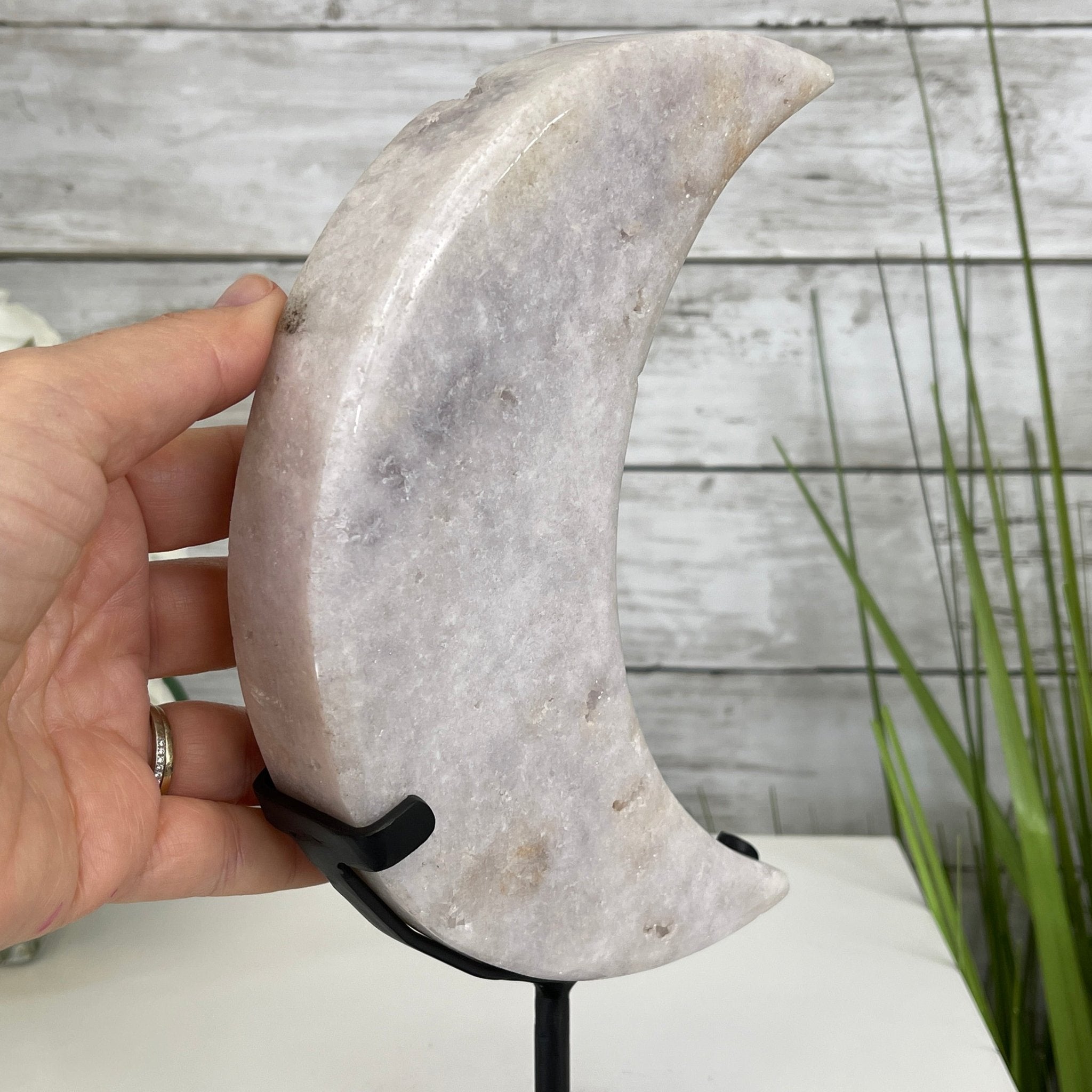 Pink Amethyst Crescent Moon Polished Geode, 3.1 lbs and 10.75" Tall #5740-0017 by Brazil Gems - Brazil GemsBrazil GemsPink Amethyst Crescent Moon Polished Geode, 3.1 lbs and 10.75" Tall #5740-0017 by Brazil GemsCrescent Moons5740-0017
