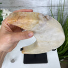 Pink Amethyst Crescent Moon Polished Geode, 5.9 lbs and 13.3" Tall #5740-0029 by Brazil Gems - Brazil GemsBrazil GemsPink Amethyst Crescent Moon Polished Geode, 5.9 lbs and 13.3" Tall #5740-0029 by Brazil GemsCrescent Moons5740-0029