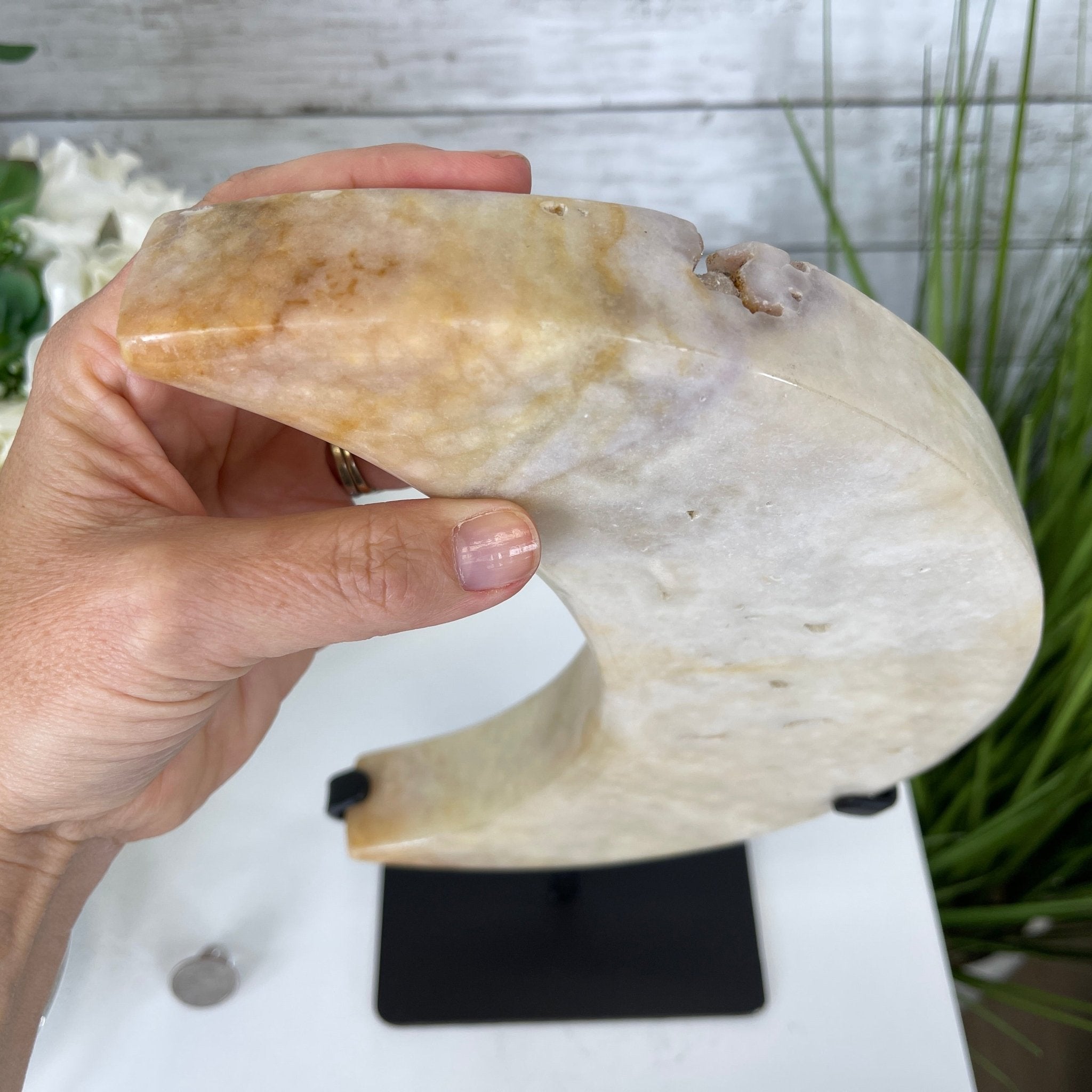Pink Amethyst Crescent Moon Polished Geode, 5.9 lbs and 13.3" Tall #5740-0029 by Brazil Gems - Brazil GemsBrazil GemsPink Amethyst Crescent Moon Polished Geode, 5.9 lbs and 13.3" Tall #5740-0029 by Brazil GemsCrescent Moons5740-0029