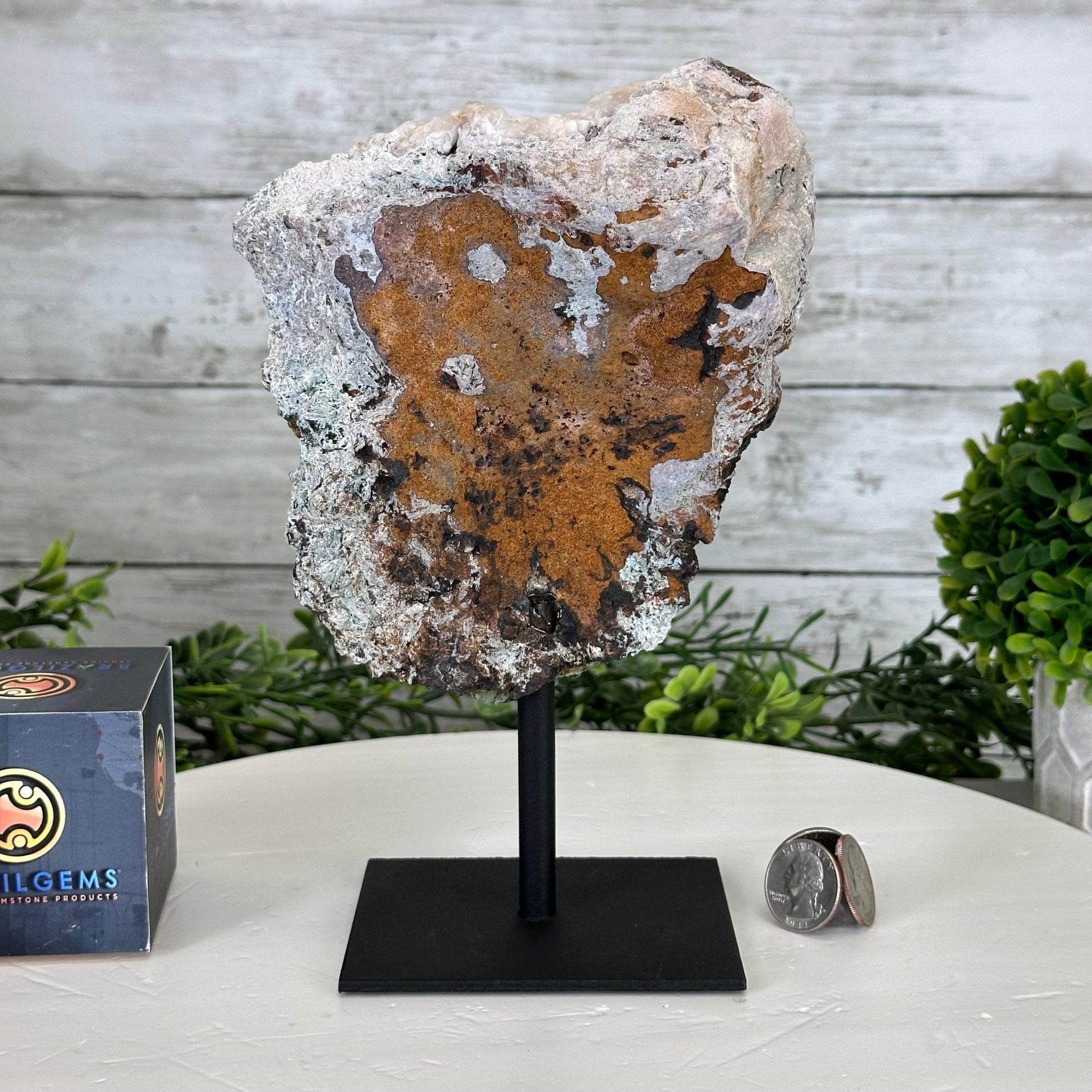 Pink Amethyst Slice on a Stand, 2.1 lbs and 9" Tall #5742-0128 - Brazil GemsBrazil GemsPink Amethyst Slice on a Stand, 2.1 lbs and 9" Tall #5742-0128Slices on Fixed Bases5742-0128