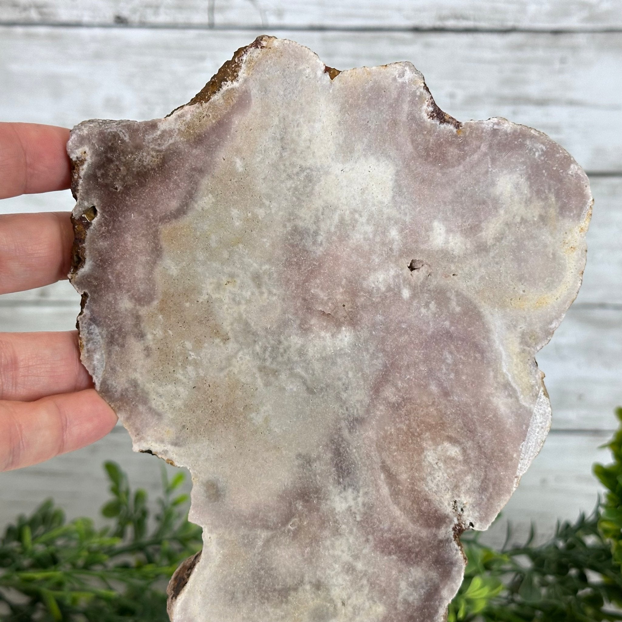 Pink Amethyst Slice on a Stand, 2.2 lbs and 10.5" Tall #5742-0126 - Brazil GemsBrazil GemsPink Amethyst Slice on a Stand, 2.2 lbs and 10.5" Tall #5742-0126Slices on Fixed Bases5742-0126