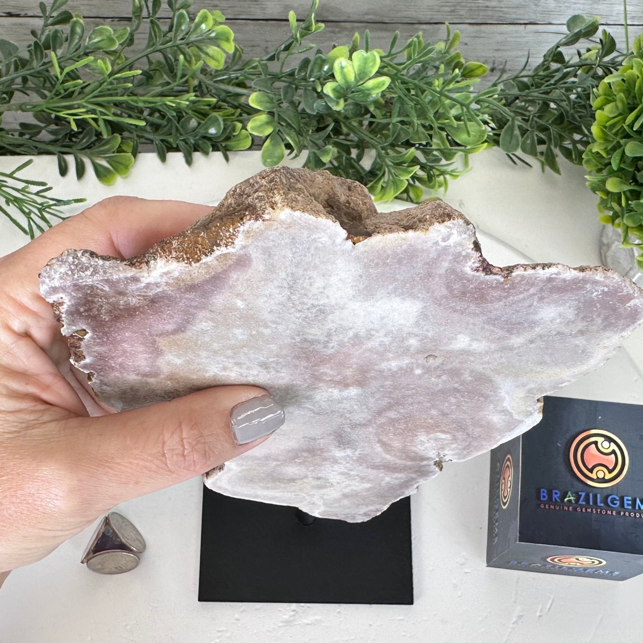 Pink Amethyst Slice on a Stand, 2.2 lbs and 10.5" Tall #5742-0126 - Brazil GemsBrazil GemsPink Amethyst Slice on a Stand, 2.2 lbs and 10.5" Tall #5742-0126Slices on Fixed Bases5742-0126