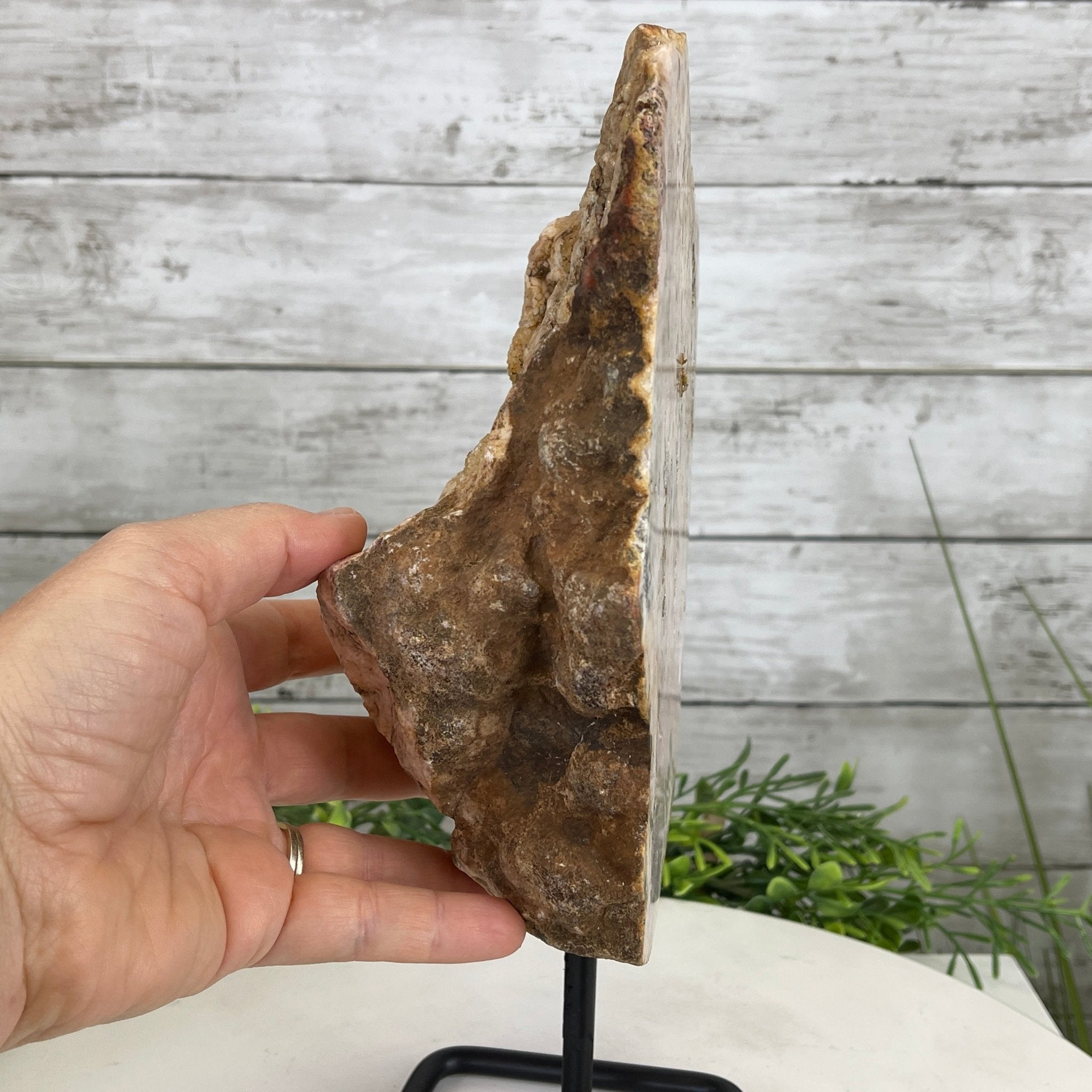 Pink Amethyst Slice on a Stand, 5.7 lbs and 11.7" Tall #5742-0041 by Brazil Gems - Brazil GemsBrazil GemsPink Amethyst Slice on a Stand, 5.7 lbs and 11.7" Tall #5742-0041 by Brazil GemsSlices on Fixed Bases5742-0041