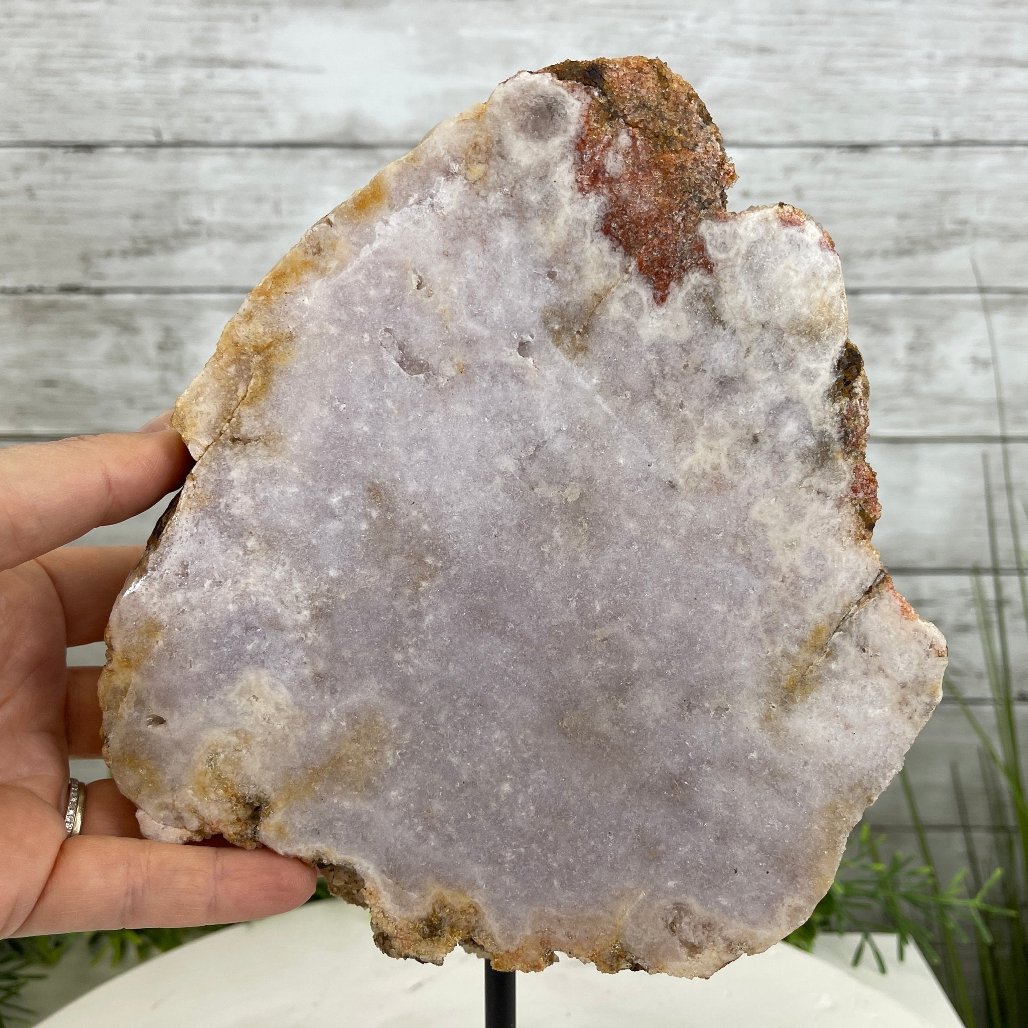 Pink Amethyst Slice on a Stand, 5.9 lbs and 12" Tall #5742-0037 by Brazil Gems - Brazil GemsBrazil GemsPink Amethyst Slice on a Stand, 5.9 lbs and 12" Tall #5742-0037 by Brazil GemsSlices on Fixed Bases5742-0037