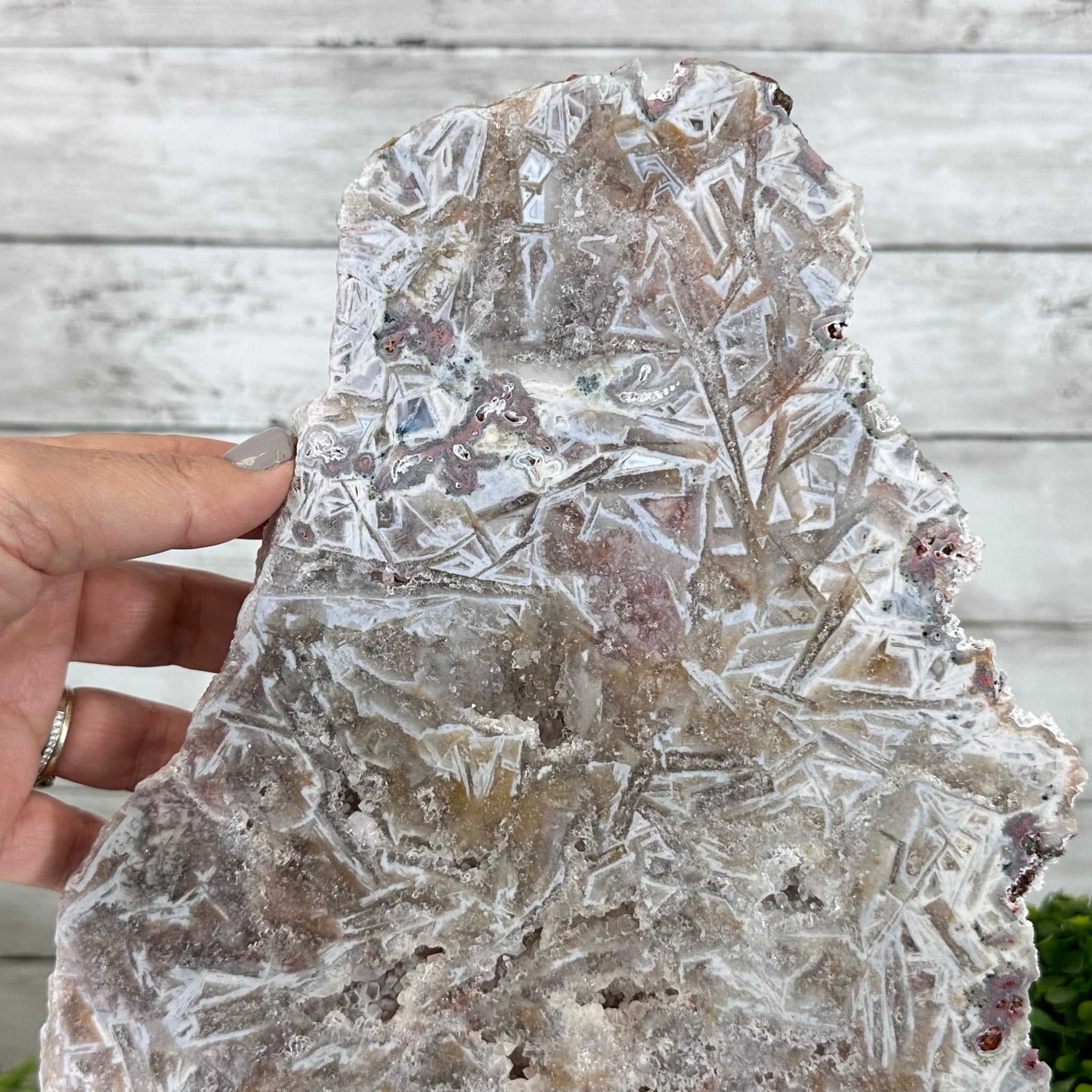 Pink Amethyst Slice on a Stand, 6.8 lbs and 14.6" Tall #5742-0124 - Brazil GemsBrazil GemsPink Amethyst Slice on a Stand, 6.8 lbs and 14.6" Tall #5742-0124Slices on Fixed Bases5742-0124