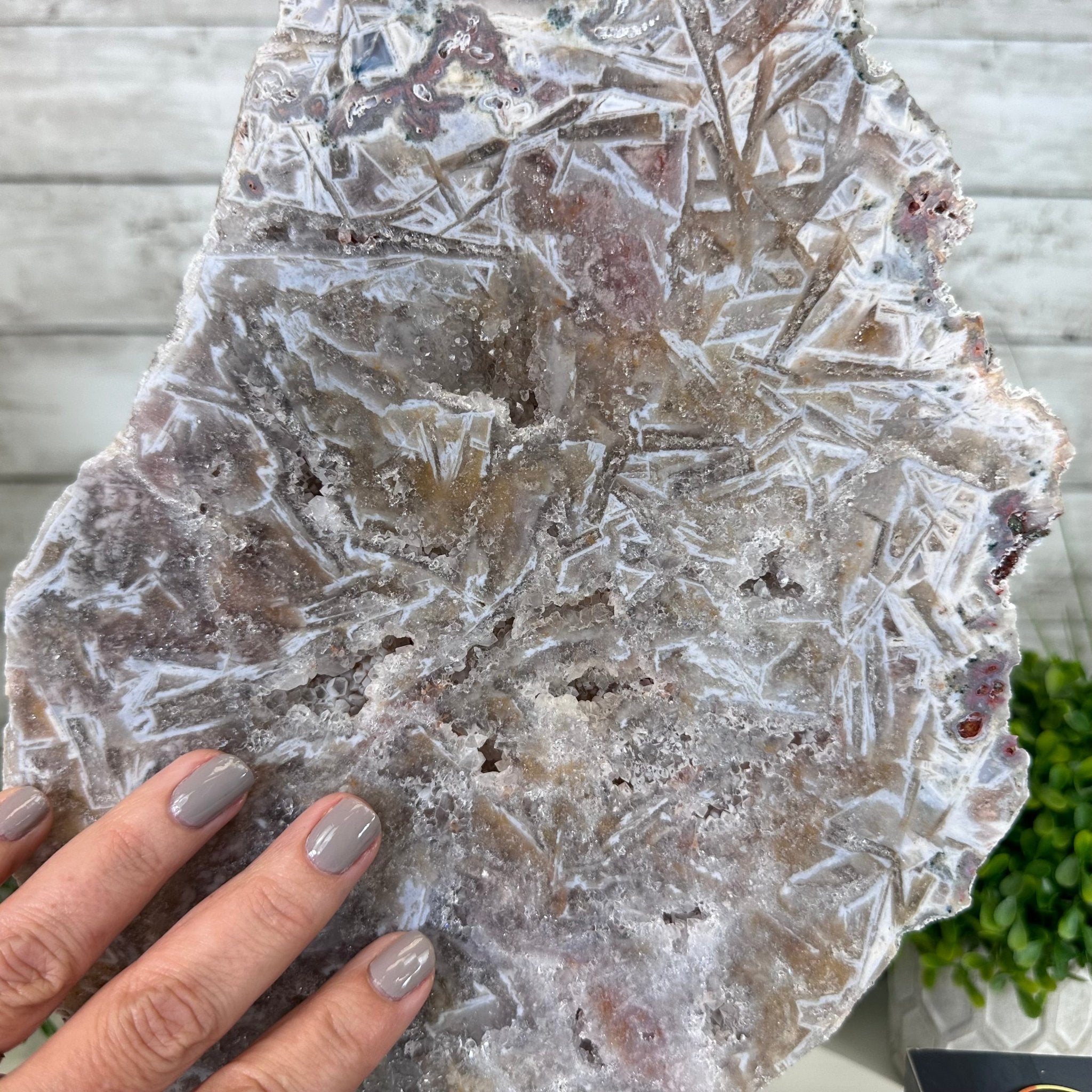 Pink Amethyst Slice on a Stand, 6.8 lbs and 14.6" Tall #5742-0124 - Brazil GemsBrazil GemsPink Amethyst Slice on a Stand, 6.8 lbs and 14.6" Tall #5742-0124Slices on Fixed Bases5742-0124