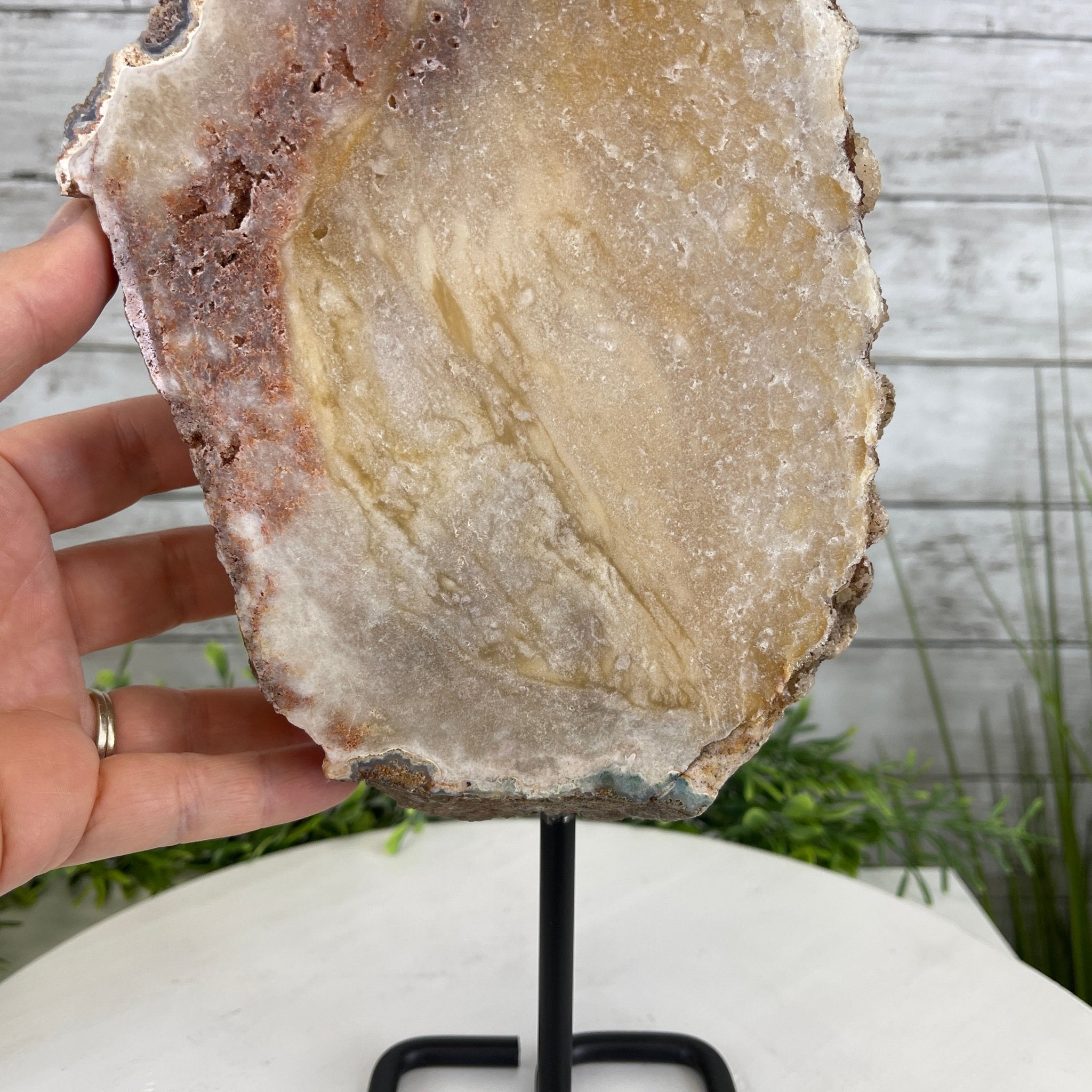 Pink Amethyst Slice on a Stand, 7.6 lbs and 15.3" Tall #5742-0043 by Brazil Gems - Brazil GemsBrazil GemsPink Amethyst Slice on a Stand, 7.6 lbs and 15.3" Tall #5742-0043 by Brazil GemsSlices on Fixed Bases5742-0043