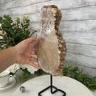 Pink Amethyst Slice on a Stand, 7.6 lbs and 15.3" Tall #5742-0043 by Brazil Gems - Brazil GemsBrazil GemsPink Amethyst Slice on a Stand, 7.6 lbs and 15.3" Tall #5742-0043 by Brazil GemsSlices on Fixed Bases5742-0043