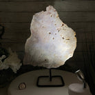 Pink Amethyst Slice on a Stand, 8.7 lbs and 14" Tall #5742-0039 by Brazil Gems - Brazil GemsBrazil GemsPink Amethyst Slice on a Stand, 8.7 lbs and 14" Tall #5742-0039 by Brazil GemsSlices on Fixed Bases5742-0039