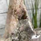 Pink Amethyst Star on a Metal Stand 11.25" Tall #5746-0022 by Brazil Gems - Brazil GemsBrazil GemsPink Amethyst Star on a Metal Stand 11.25" Tall #5746-0022 by Brazil GemsStars5746-0022