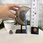 Polished Agate Crescent Moon on a Stand, 2.7 lbs & 7.75" Tall #5740NA-001 - Brazil GemsBrazil GemsPolished Agate Crescent Moon on a Stand, 2.7 lbs & 7.75" Tall #5740NA-001Crescent Moons5740NA-001