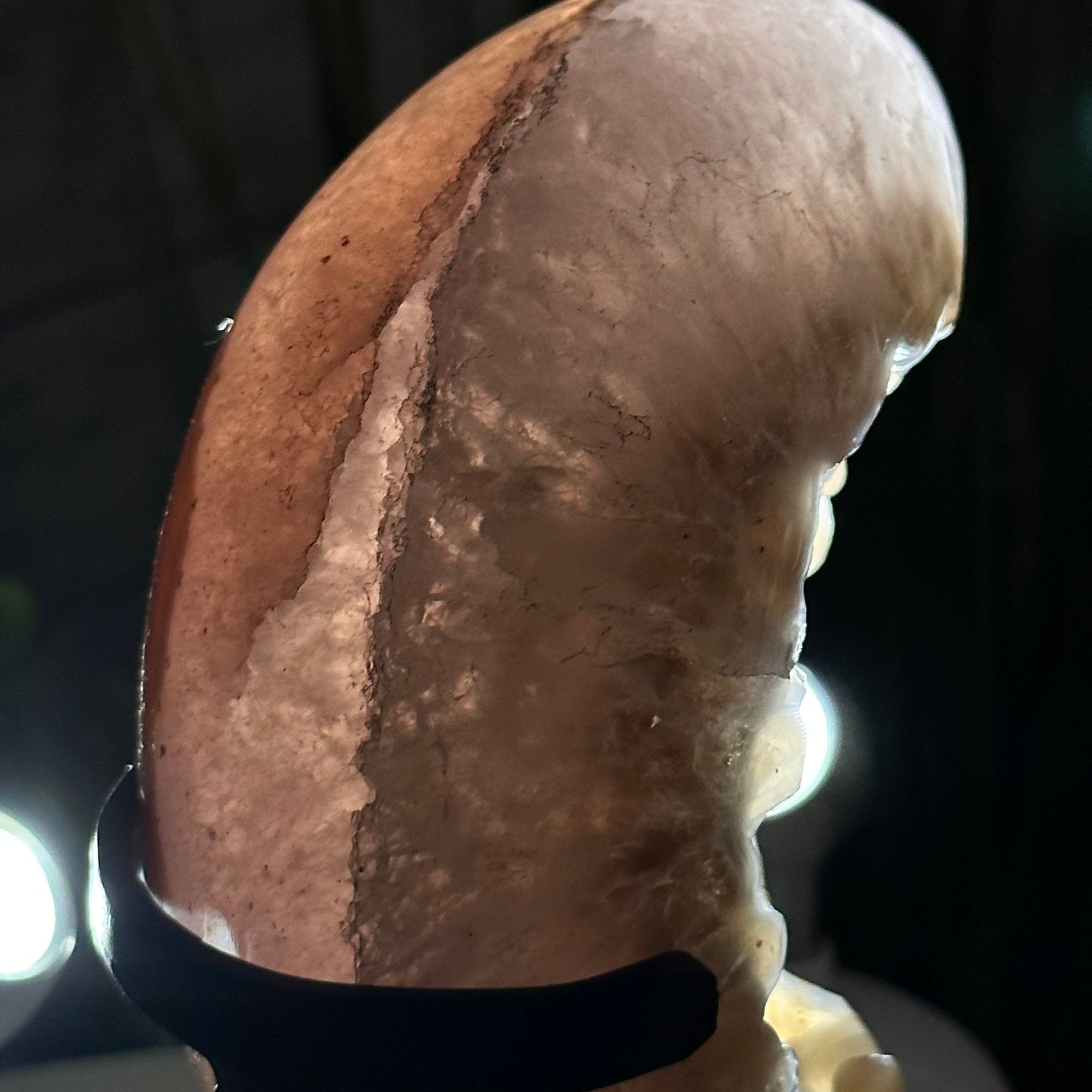 Polished Agate Crescent Moon on a Stand, 2.7 lbs & 7.75" Tall #5740NA-001 - Brazil GemsBrazil GemsPolished Agate Crescent Moon on a Stand, 2.7 lbs & 7.75" Tall #5740NA-001Crescent Moons5740NA-001