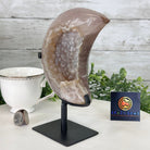 Polished Agate Crescent Moon on a Stand, 2.7 lbs & 7.75" Tall #5740NA-001 - Brazil GemsBrazil GemsPolished Agate Crescent Moon on a Stand, 2.7 lbs & 7.75" Tall #5740NA-001Crescent Moons5740NA-001