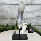 Polished Agate Crescent Moon on a Stand, 4.8 lbs & 11" Tall #5740NA-006 - Brazil GemsBrazil GemsPolished Agate Crescent Moon on a Stand, 4.8 lbs & 11" Tall #5740NA-006Crescent Moons5740NA-006