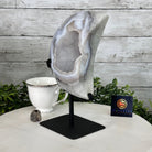 Polished Agate Crescent Moon on a Stand, 5.3 lbs & 9.8" Tall #5740NA-010 by Brazil Gems - Brazil GemsBrazil GemsPolished Agate Crescent Moon on a Stand, 5.3 lbs & 9.8" Tall #5740NA-010 by Brazil GemsCrescent Moons5740NA-010