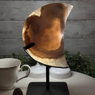 Polished Agate Crescent Moon on a Stand, 5.3 lbs & 9.8" Tall #5740NA-010 by Brazil Gems - Brazil GemsBrazil GemsPolished Agate Crescent Moon on a Stand, 5.3 lbs & 9.8" Tall #5740NA-010 by Brazil GemsCrescent Moons5740NA-010