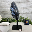 Polished Agate Crescent Moon on a Stand, 6.4 lbs & 10.5" Tall #5740NA-012 by Brazil Gems - Brazil GemsBrazil GemsPolished Agate Crescent Moon on a Stand, 6.4 lbs & 10.5" Tall #5740NA-012 by Brazil GemsCrescent Moons5740NA-012