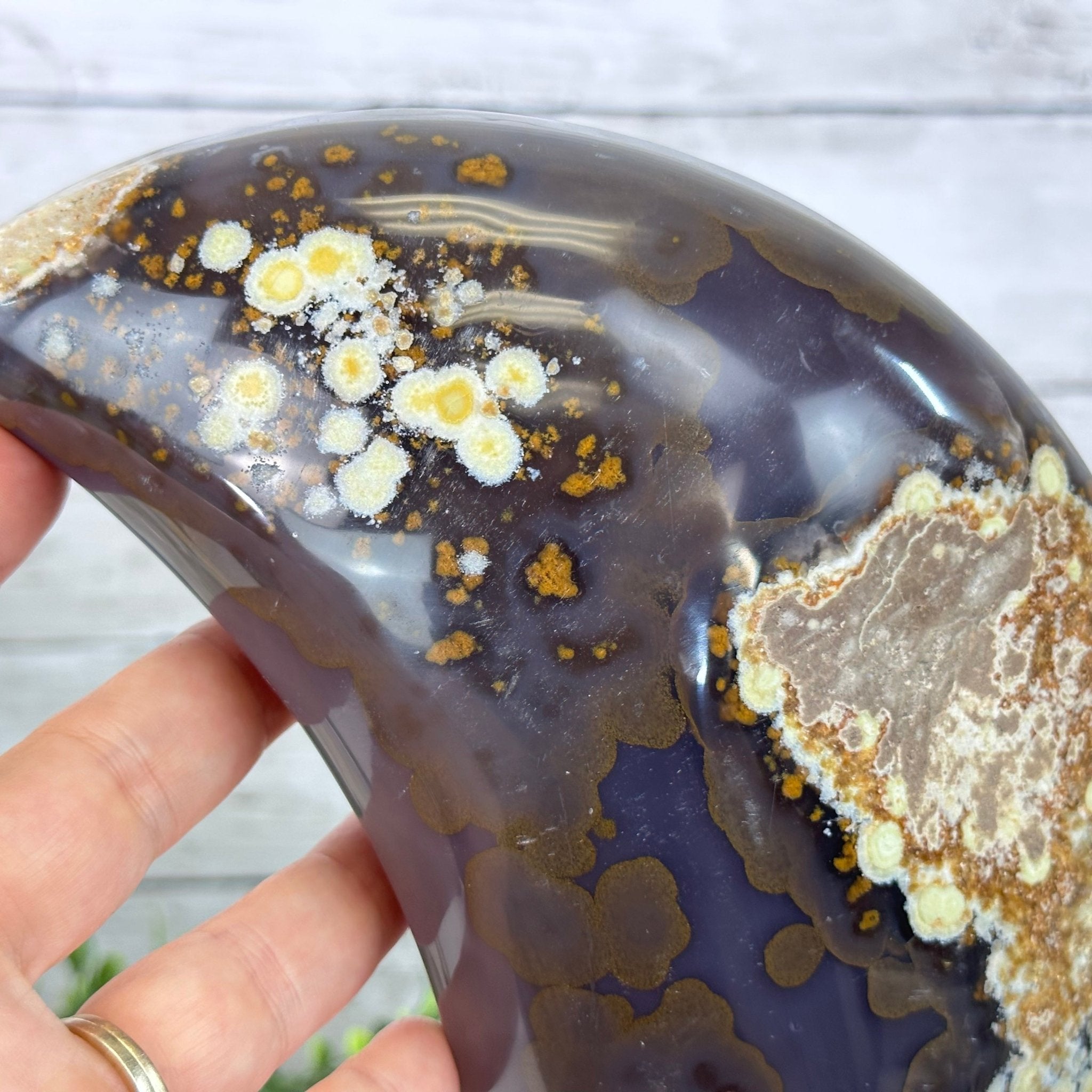Polished Agate Crescent Moon on a Stand, 8 lbs & 11.75" Tall #5740NA-015 by Brazil Gems - Brazil GemsBrazil GemsPolished Agate Crescent Moon on a Stand, 8 lbs & 11.75" Tall #5740NA-015 by Brazil GemsCrescent Moons5740NA-015